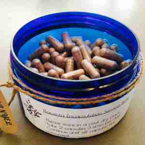 Placenta Encapsulation Pills Placenta Encapsulation Capsules